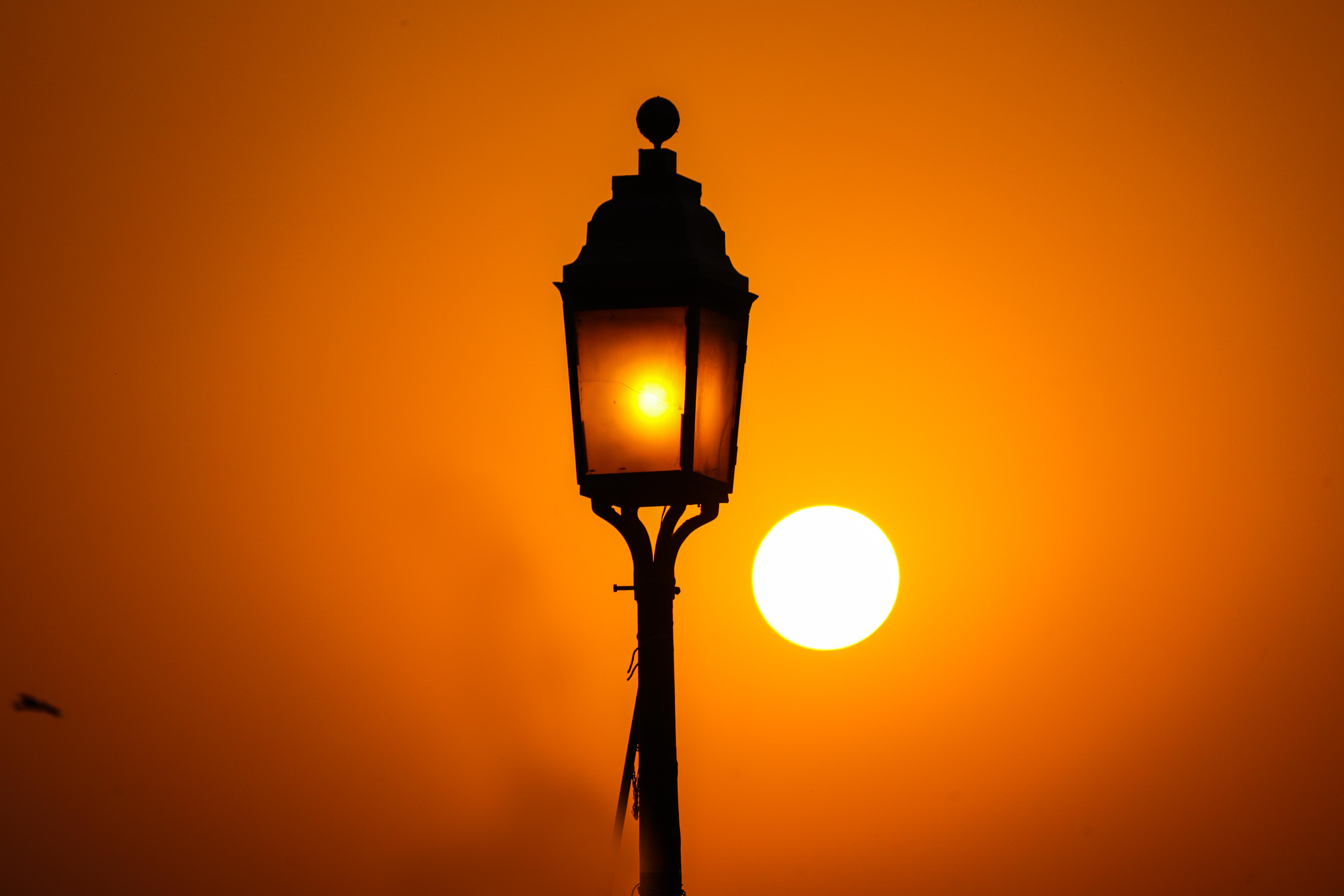 wildlife, animal, rhino pic, wildlife photography, wildlife sanctuaries, animal wallpaper